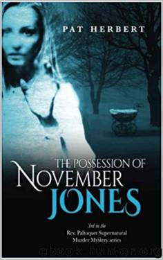 The Possession of November Jones by Pat Herbert