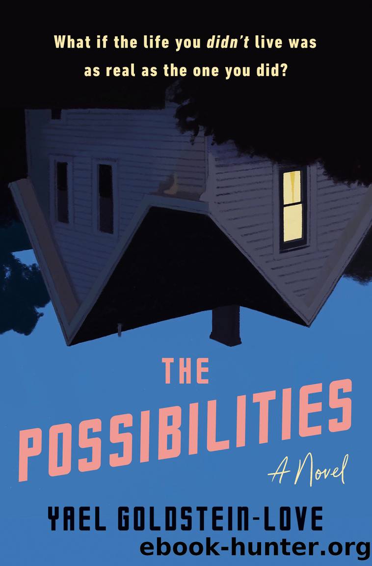 The Possibilities by Yael Goldstein-Love