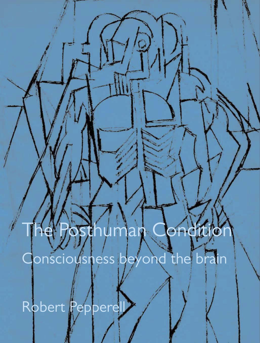 The Posthuman Condition : Consciousness Beyond the Brain by Pepperell Robert