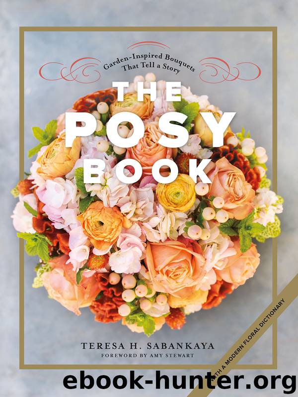 The Posy Book by Teresa H. Sabankaya
