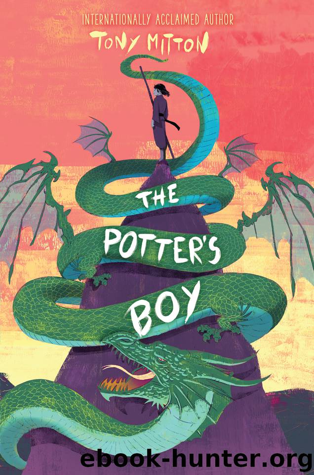 The Potter's Boy by Tony Mitton