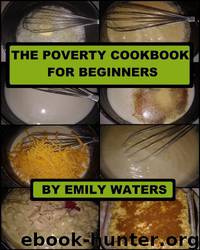 The Poverty Cookbook for Beginners by Emily Waters & Susan Gregersen