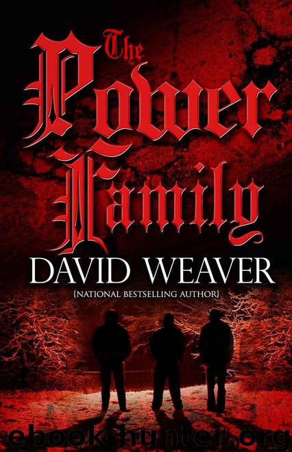 The Power Family by David Weaver