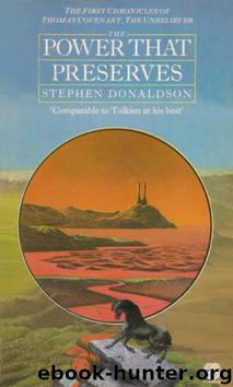 The Power That Preserves by Stephen R. Donaldson