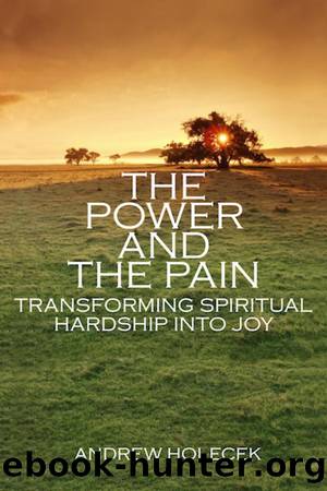 The Power and the Pain by Andrew Holecek