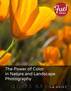 The Power of Color in Nature and Landscape Photography by Rob Sheppard