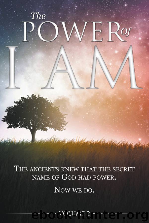 The Power of I AM - Volume 2 by Allen David