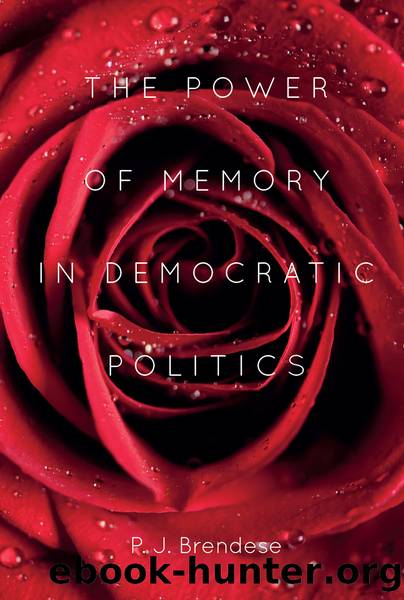 The Power of Memory in Democratic Politics by P. J. Brendese
