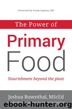 The Power of Primary Food by Joshua Rosenthal