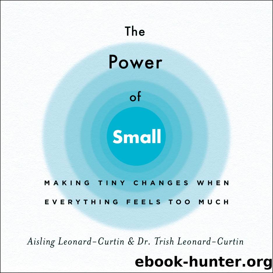 The Power of Small by Aisling Leonard-Curtin