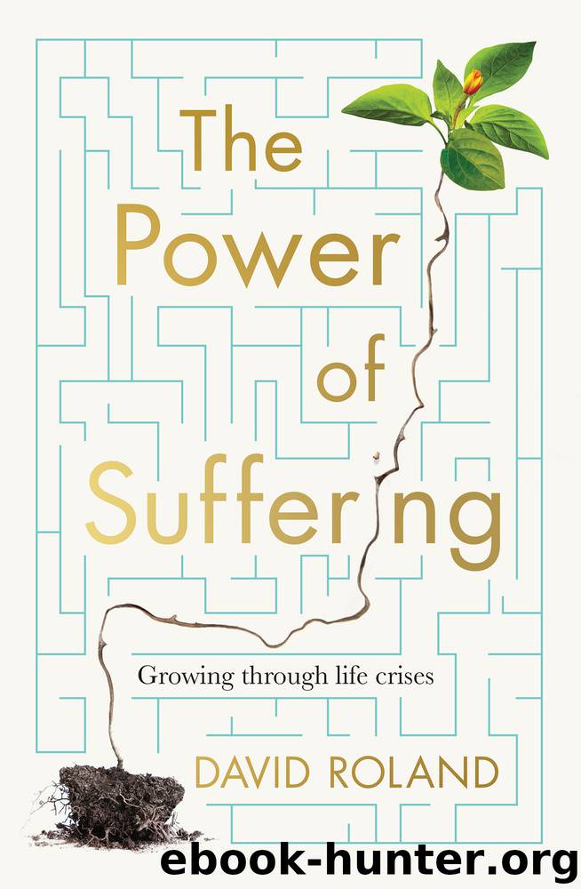 The Power of Suffering by David Roland