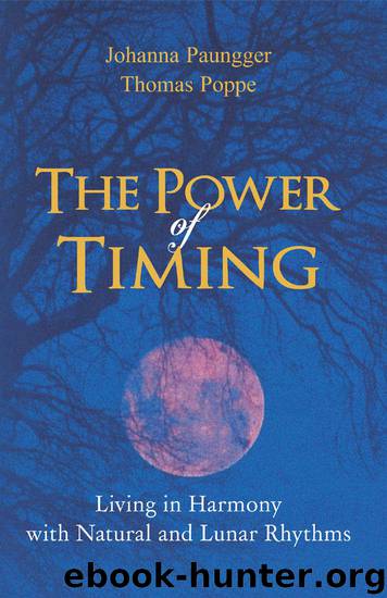 The Power of Timing by Johanna Paungger & Thomas Poppe