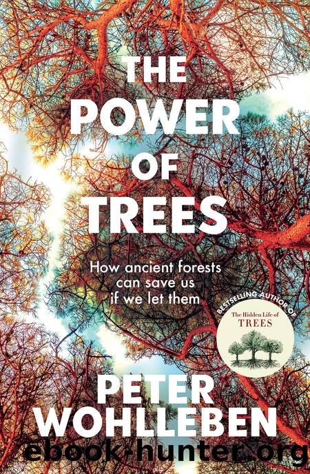 The Power of Trees by Peter Wohlleben