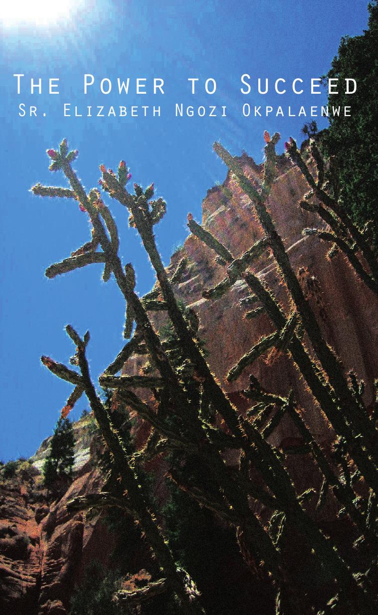 The Power to Succeed by Elizabeth Ngozi Okpalaenwe