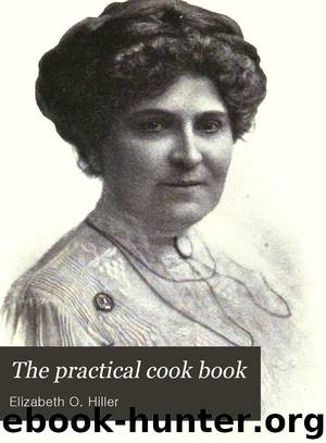 The Practical Cook Book by Elizabeth O. Hiller