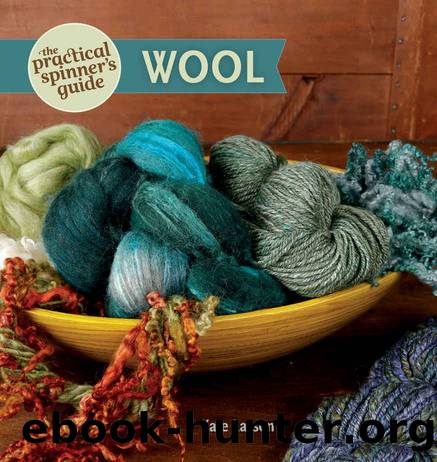 The Practical Spinner’s Guide: Wool by Larson Kate