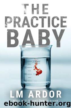 The Practice Baby by LM Ardor