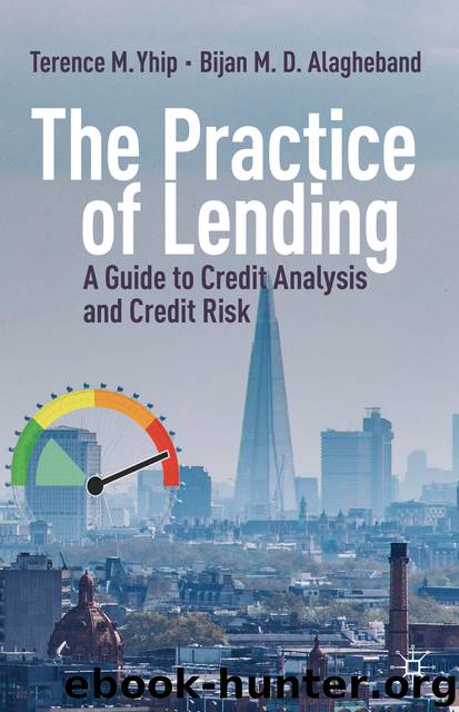 The Practice of Lending by Terence M. Yhip & Bijan M. D. Alagheband