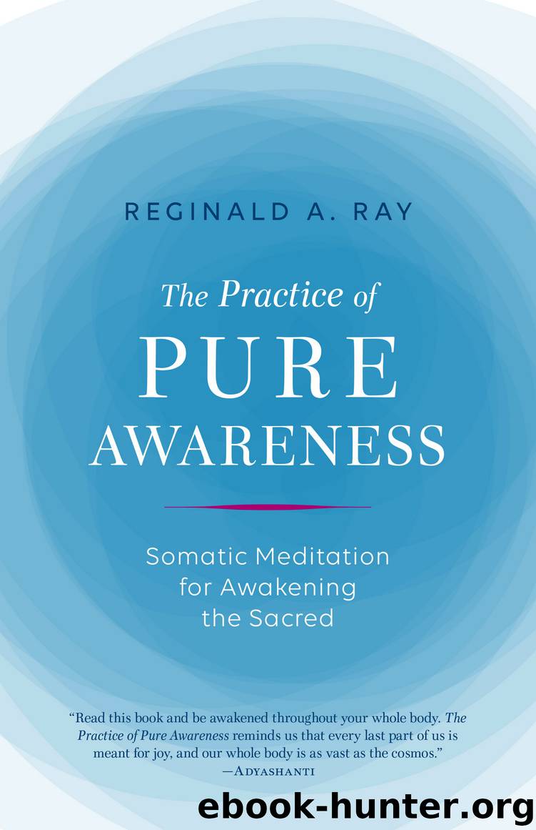 The Practice of Pure Awareness by Reginald A. Ray