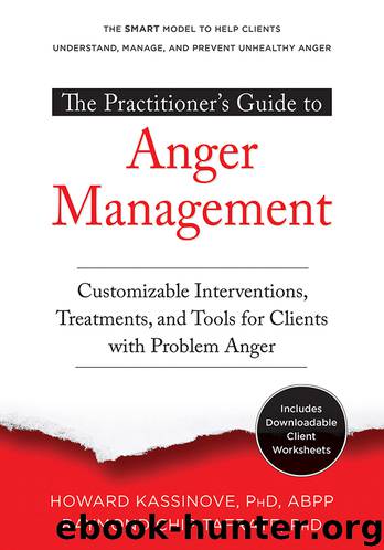 The Practitioner's Guide to Anger Management by Howard Kassinove