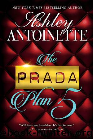 The Prada Plan 5 by Ashley Antoinette