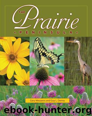 The Prairie Peninsula by Meszaros Gary