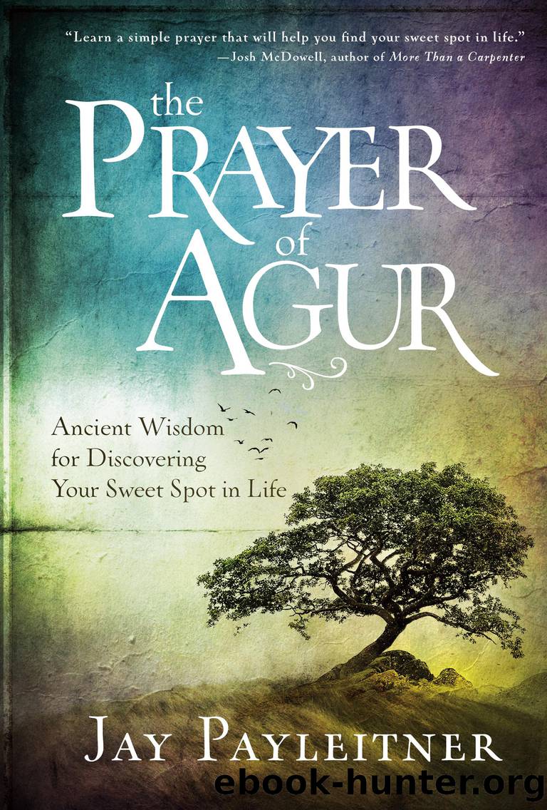 The Prayer of Agur: Ancient Wisdom for Discovering Your Sweet Spot in Life by Jay Payleitner
