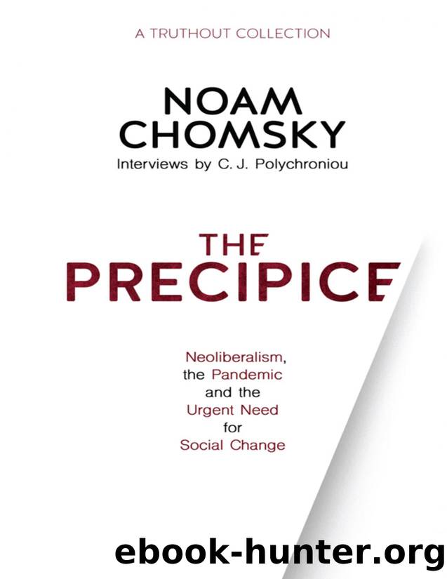 The Precipice Neoliberalism, the Pandemic, and the Urgent Need for Radical Change by Unknown