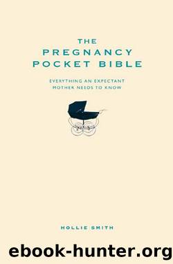 The Pregnancy Pocket Bible by Hollie Smith
