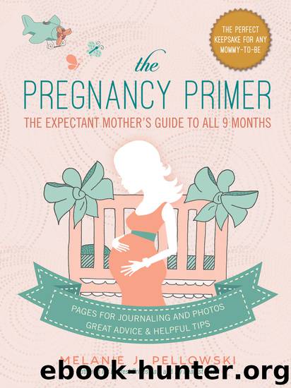 The Pregnancy Primer by Melanie J. Pellowski