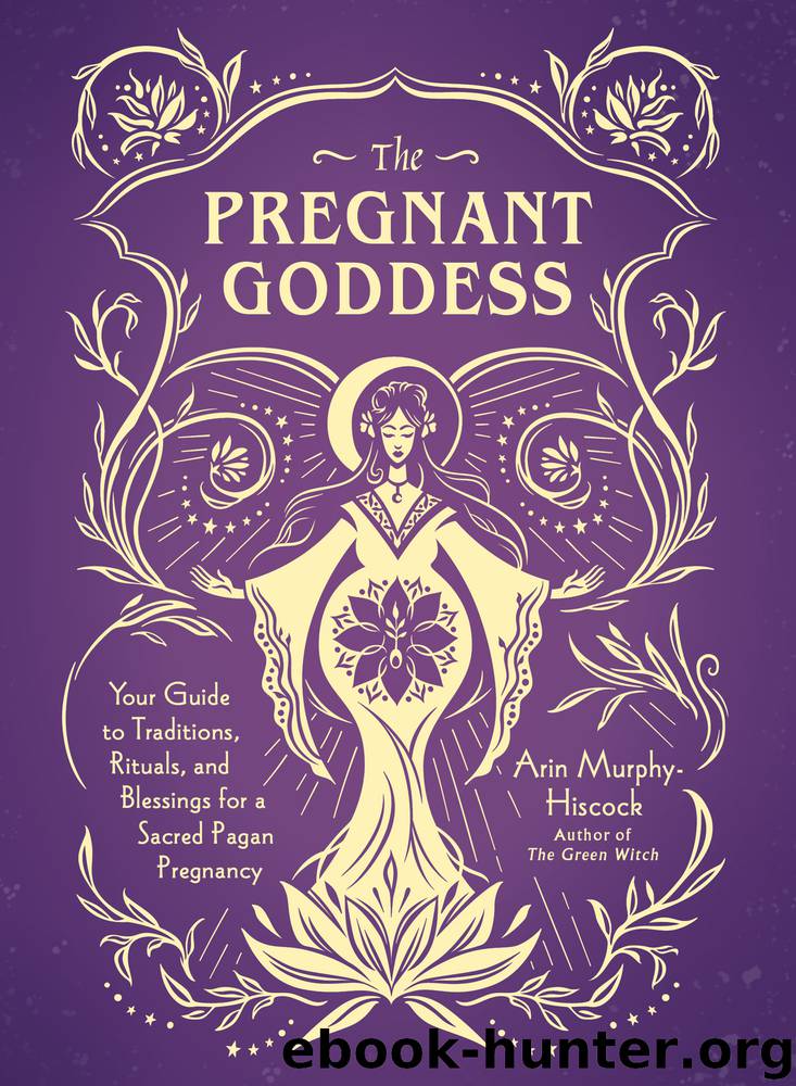 The Pregnant Goddess by Arin Murphy-Hiscock