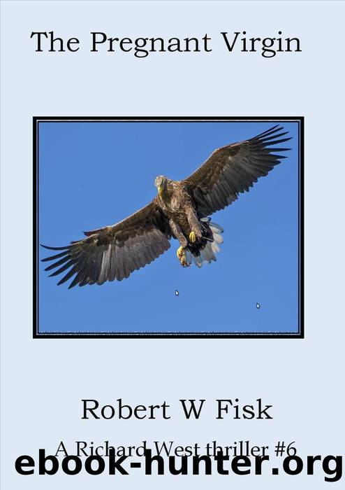 The Pregnant Virgin by Robert W Fisk