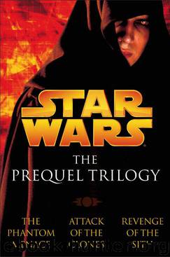 The Prequel Trilogy: Star Wars (Star Wars Trilogy Boxed Book 1) by Brooks Terry & R. A. Salvatore and Matthew Stover