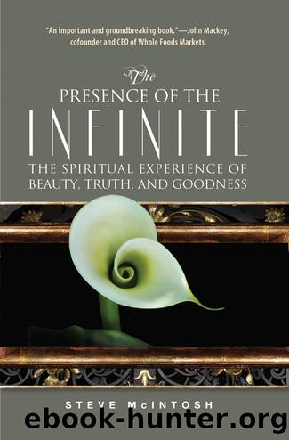 The Presence of the Infinite by Steve McIntosh