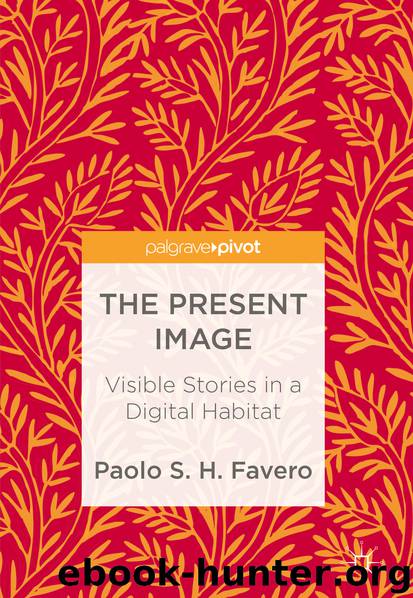 The Present Image by Paolo S. H. Favero