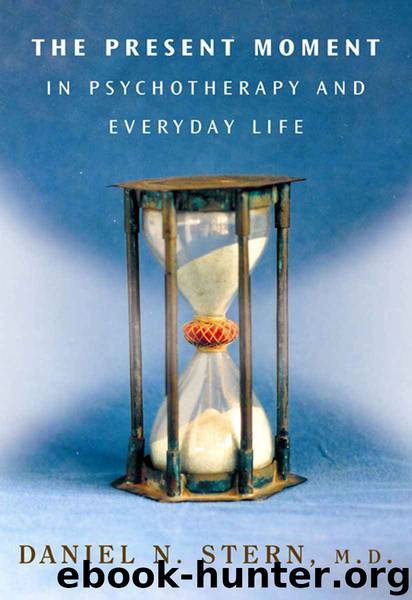 The Present Moment in Psychotherapy and Everyday Life (Norton Series on Interpersonal Neurobiology) by Daniel N. Stern