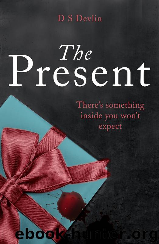 The Present by D S Devlin