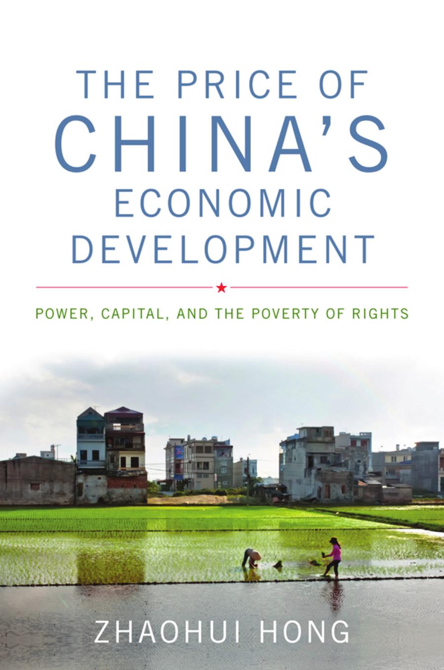 The Price of China's Economic Development by Zhaohui Hong