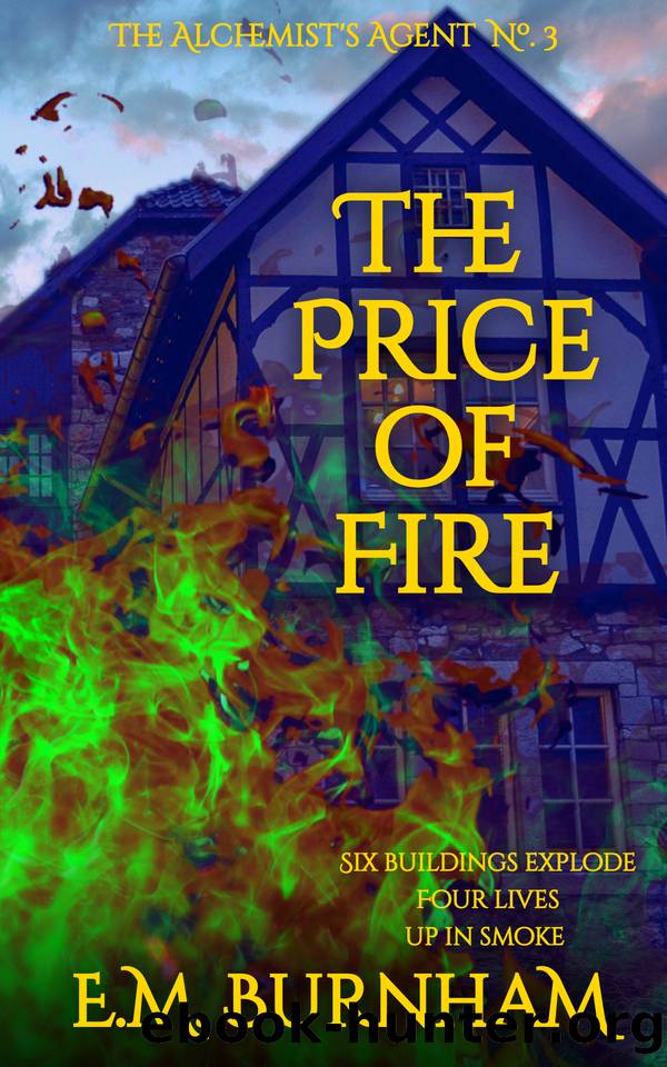 The Price of Fire by E.M. Burnham