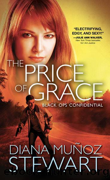 The Price of Grace by Diana Munoz Stewart