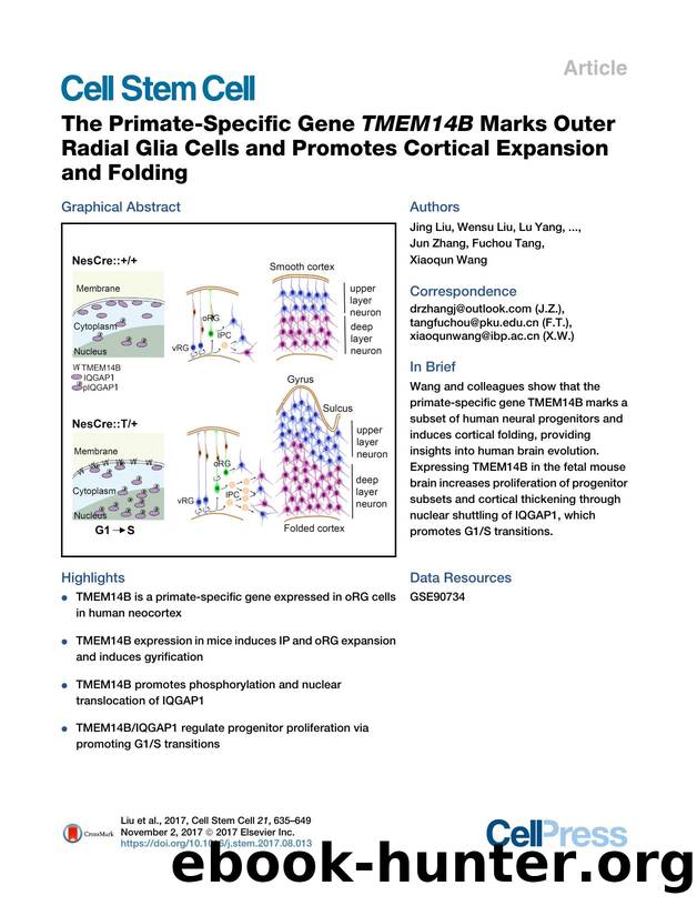 The Primate-Specific Gene TMEM14B Marks Outer Radial Glia Cells and Promotes Cortical Expansion and Folding by unknow