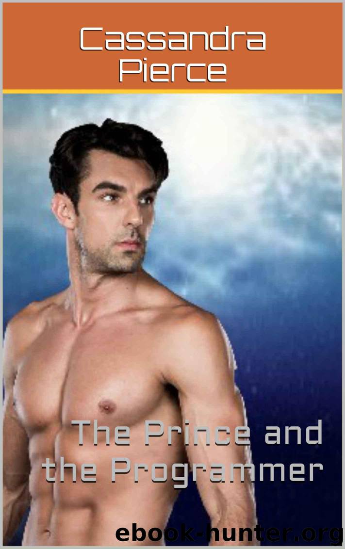 The Prince and the Programmer by Pierce Cassandra