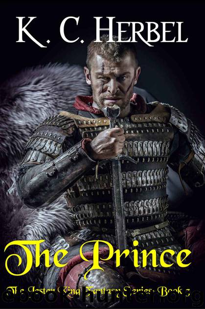 The Prince by K C Herbel