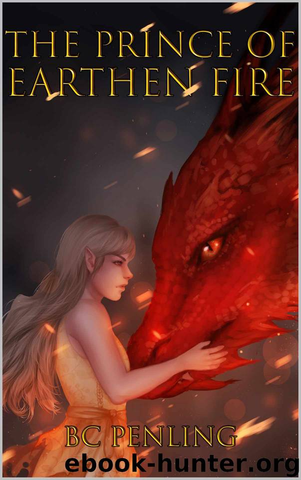 The Prince of Earthen Fire by B C Penling
