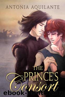 The Prince's Consort (Chronicles of Tournai Book 1) by Antonia Aquilante