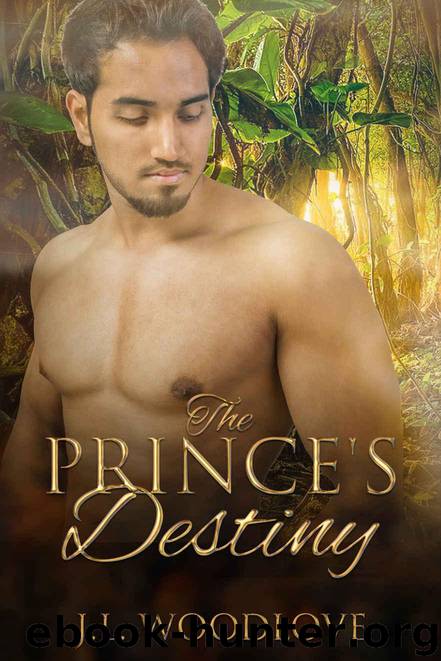 The Prince's Destiny by Woodlove J.L