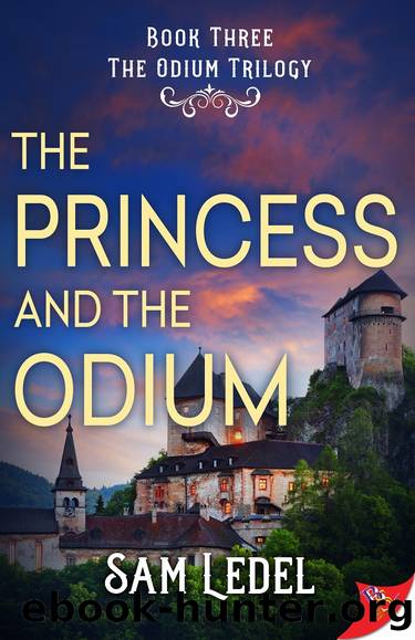 The Princess and the Odium by Sam Ledel