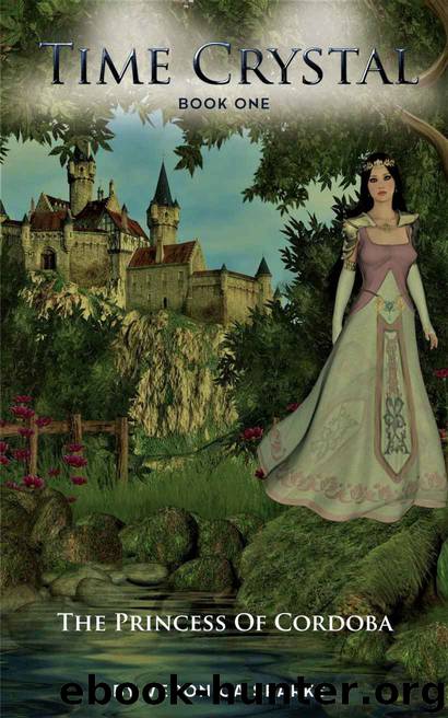 The Princess of Cordoba by Veronica Sparks