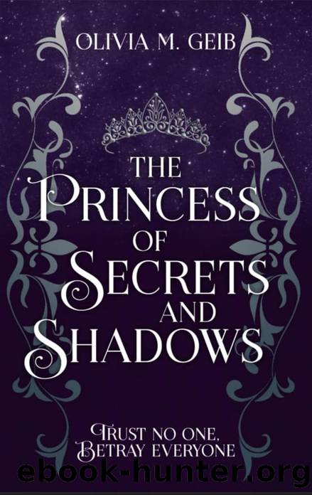 The Princess of Secrets & Shadows by Olivia M Geib