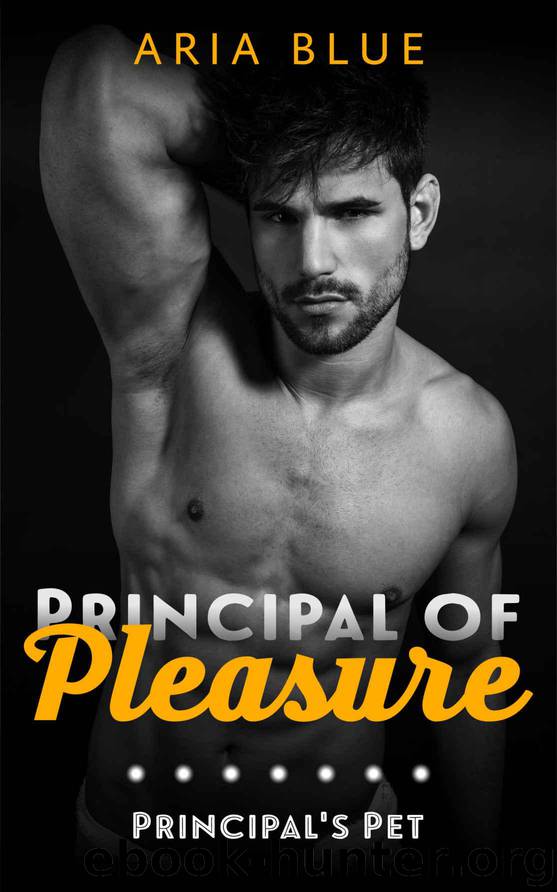 The Principal of Pleasure: Principal's Pet: The Principal of Pleasure Book One: A Steamy Romantic Novella by Blue Aria